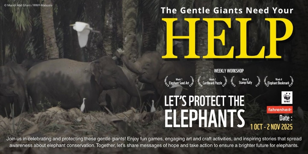 WWF – Save Our Elephant